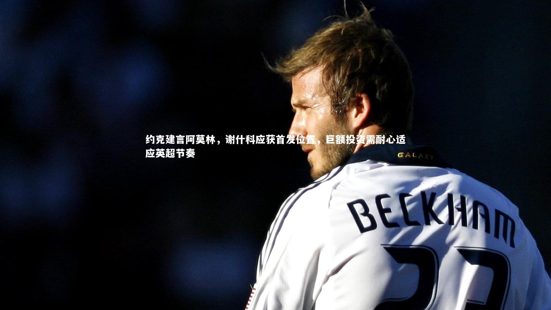 南宫体育-约克建言阿莫林，谢什科应获首发位置，巨额投资需耐心适应英超节奏